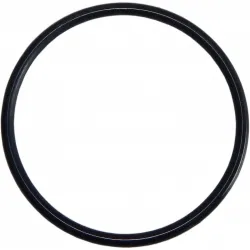 O-ring Για Όλα Τα Φίλτρα Κεντρικής Παροχής 10'', 7'', 5'' της Proteas